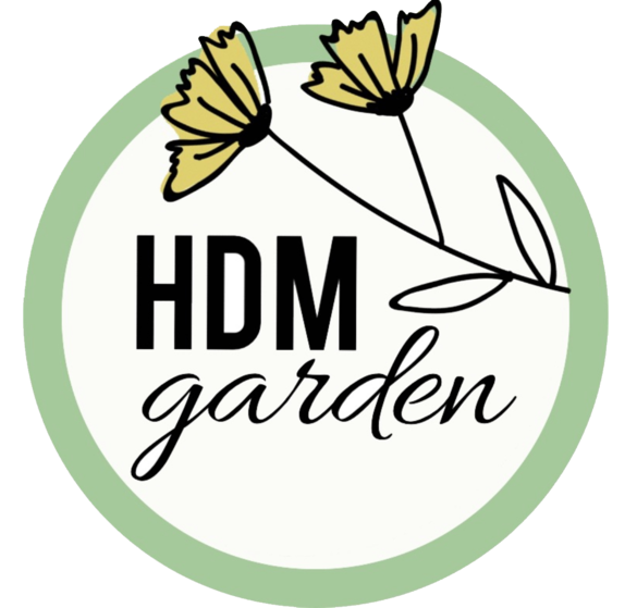 $data['details']['name']